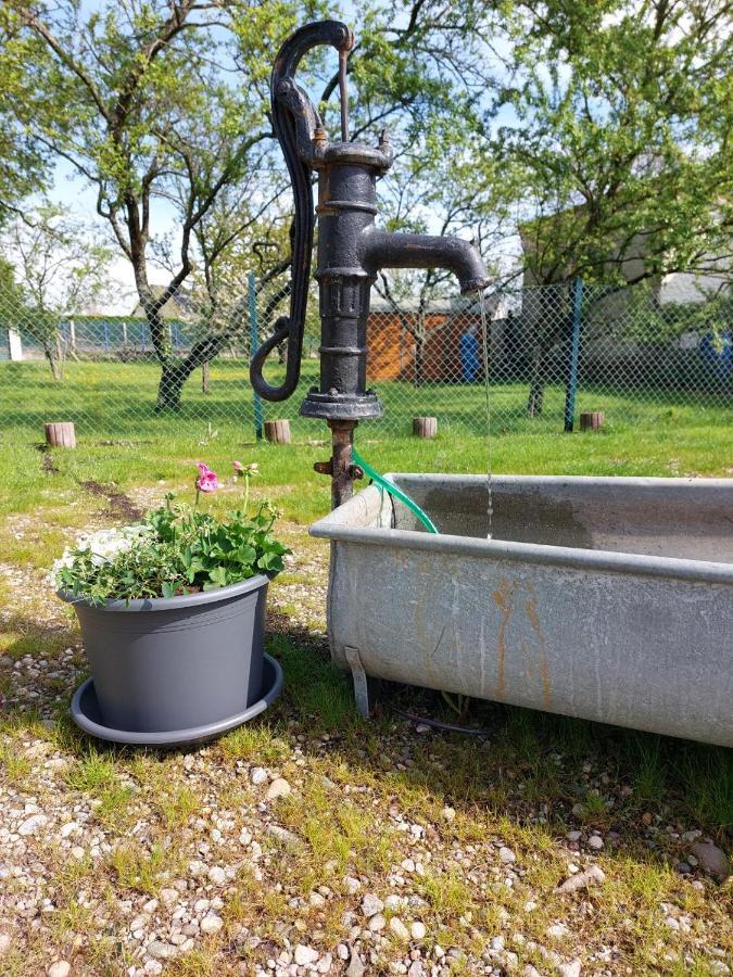 Gite Au Pommier Fleuri Et Son "Appart" Independant Drusenheim Екстер'єр фото