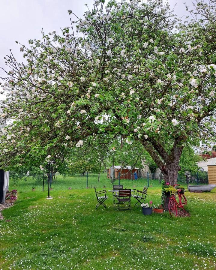 Gite Au Pommier Fleuri Et Son "Appart" Independant Drusenheim Екстер'єр фото