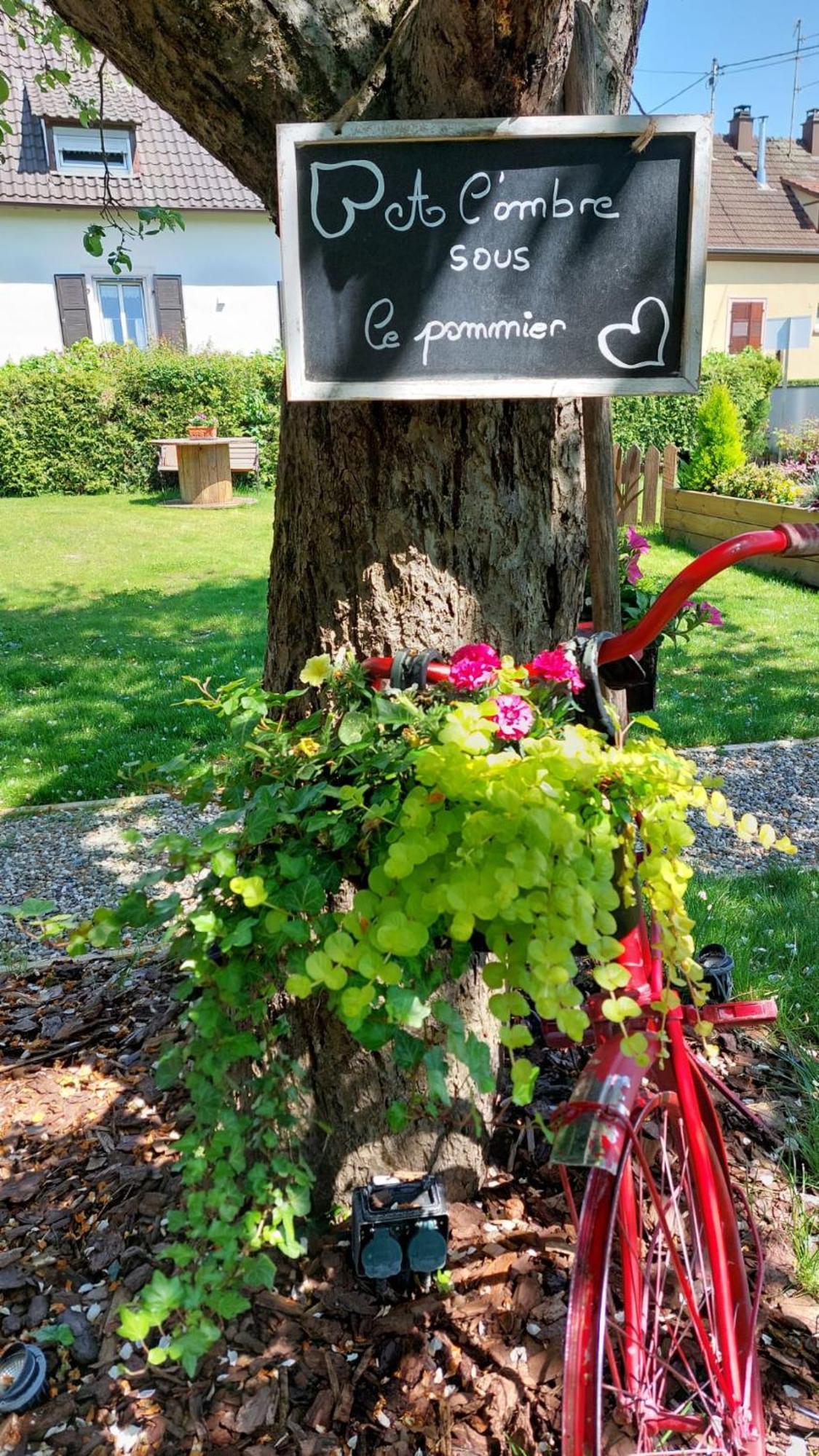 Gite Au Pommier Fleuri Et Son "Appart" Independant Drusenheim Екстер'єр фото